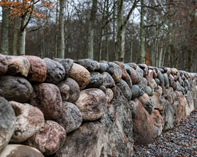 En stenmur mitt i en skog.