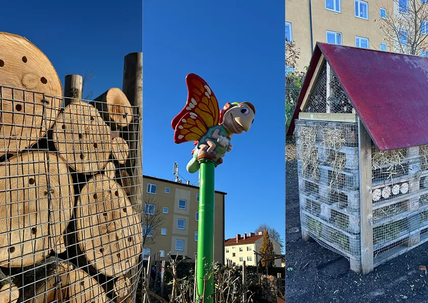 Bildkollage som visar insektshotell och andra inslag i Biosfärparken.